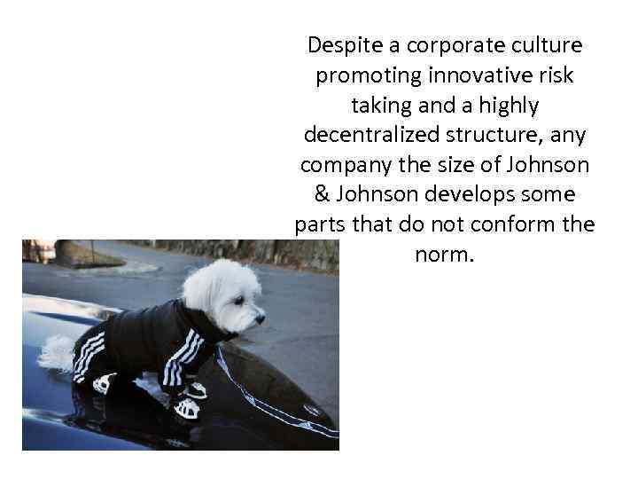 Despite a corporate culture promoting innovative risk taking and a highly decentralized structure, any