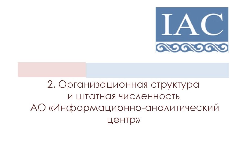 2. Организационная структура и штатная численность АО «Информационно-аналитический центр» 