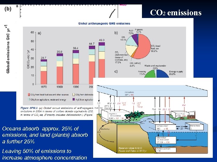 CO 2 emissions Oceans absorb approx. 25% of emissions, and land (plants) absorb a