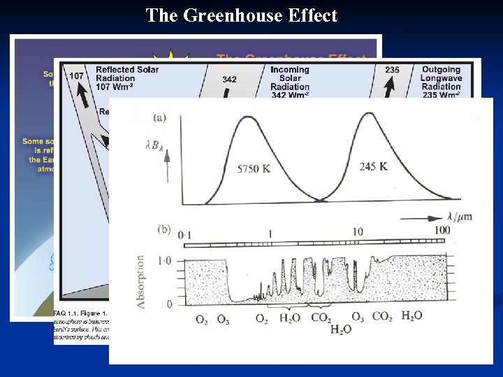 The Greenhouse Effect 