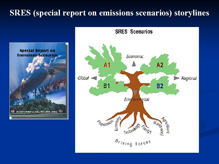 SRES (special report on emissions scenarios) storylines ( 