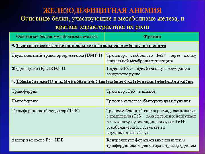 Двухвалентное железо. Белки участвующие в метаболизме и транспорте. Белок , связывающий двухвалентное железо. Основной белок базального комплекса. Белок переносчик двухвалентного железа.