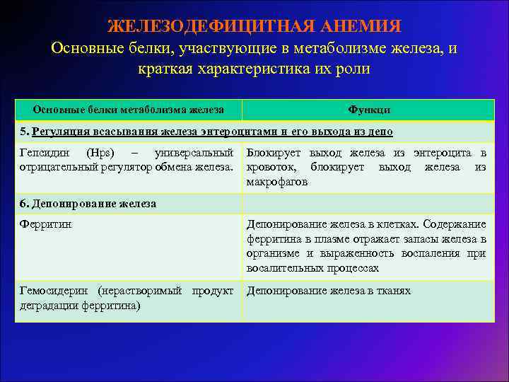 ЖЕЛЕЗОДЕФИЦИТНАЯ АНЕМИЯ Основные белки, участвующие в метаболизме железа, и краткая характеристика их роли Основные