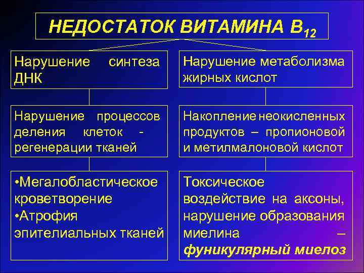 НЕДОСТАТОК ВИТАМИНА B 12 синтеза Нарушение метаболизма жирных кислот Нарушение процессов деления клеток регенерации