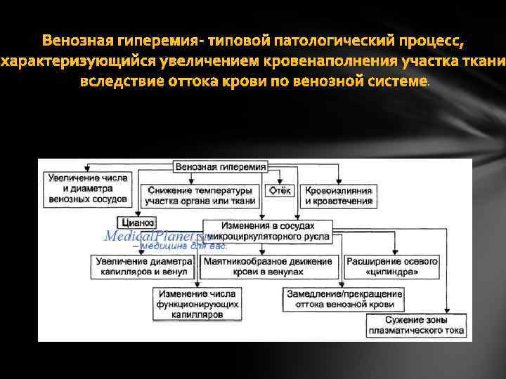 Венозная гиперемия- типовой патологический процесс, характеризующийся увеличением кровенаполнения участка ткани вследствие оттока крови по