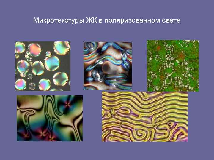 Микротекстуры ЖК в поляризованном свете 