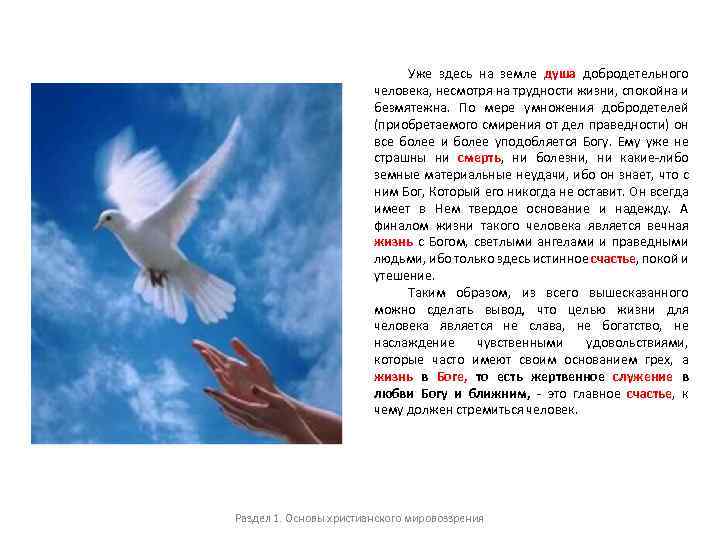 Уже здесь на земле душа добродетельного человека, несмотря на трудности жизни, спокойна и безмятежна.