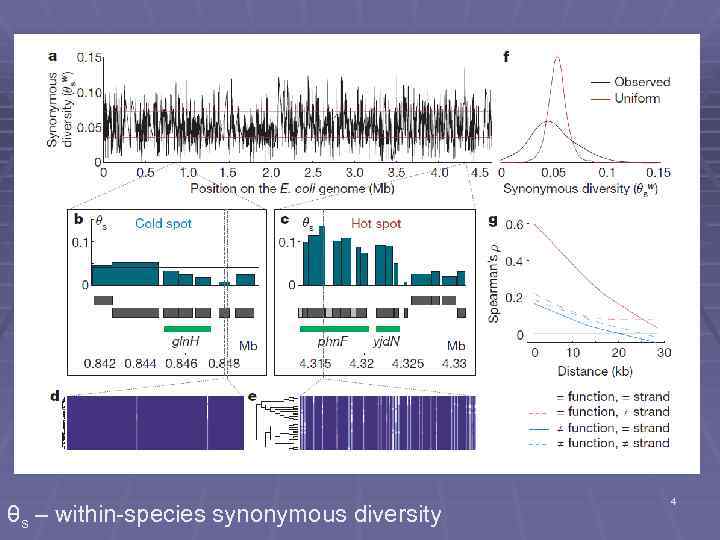 θs – within-species synonymous diversity 4 