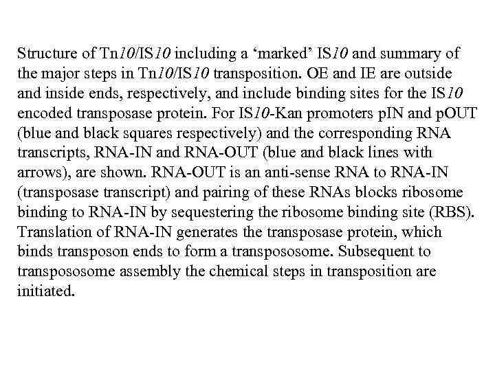 Structure of Tn 10/IS 10 including a ‘marked’ IS 10 and summary of the