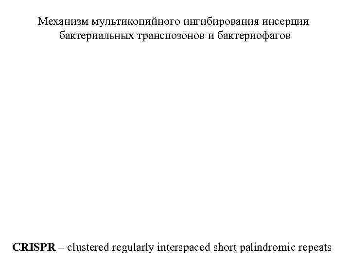 Механизм мультикопийного ингибирования инсерции бактериальных транспозонов и бактериофагов CRISPR – clustered regularly interspaced short