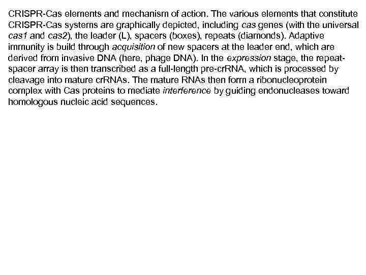 CRISPR-Cas elements and mechanism of action. The various elements that constitute CRISPR-Cas systems are