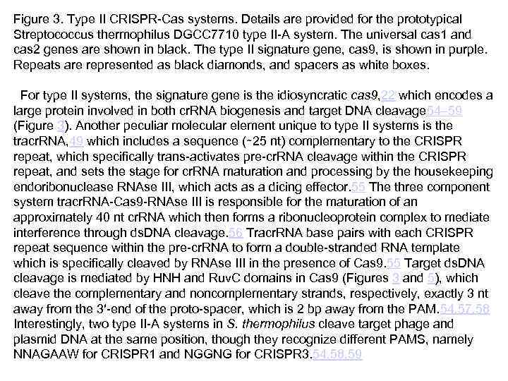 Figure 3. Type II CRISPR-Cas systems. Details are provided for the prototypical Streptococcus thermophilus