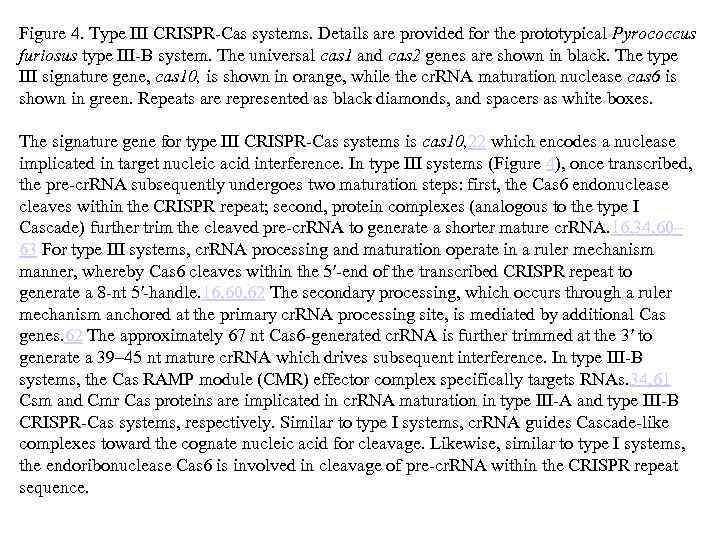 Figure 4. Type III CRISPR-Cas systems. Details are provided for the prototypical Pyrococcus furiosus