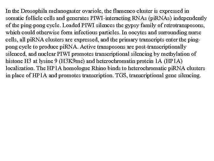 In the Drosophila melanogaster ovariole, the flamenco cluster is expressed in somatic follicle cells