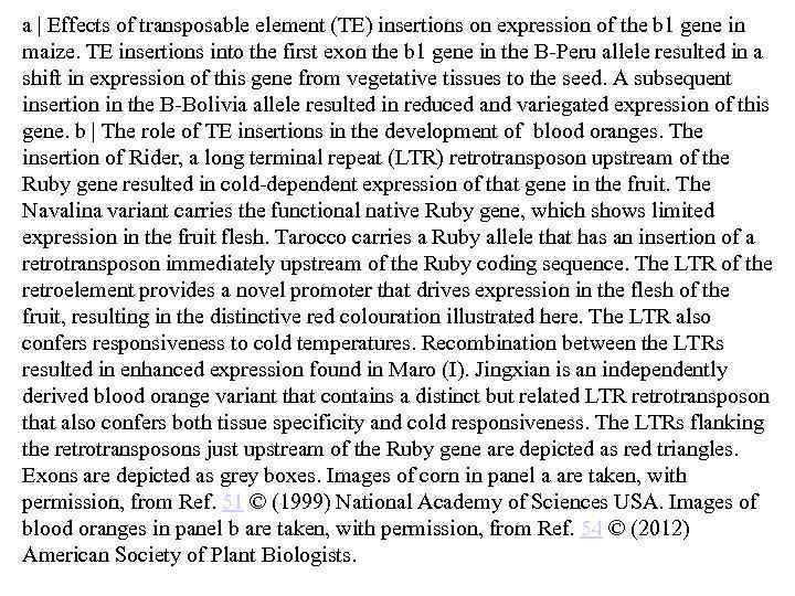 a | Effects of transposable element (TE) insertions on expression of the b 1