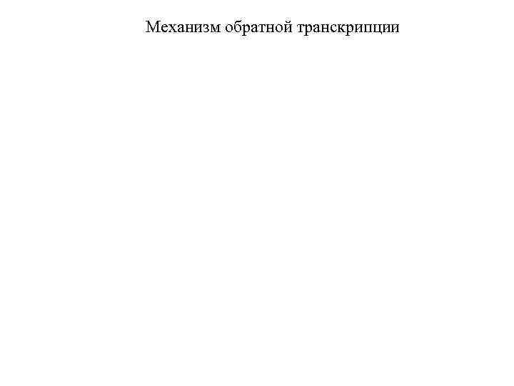 Механизм обратной транскрипции 