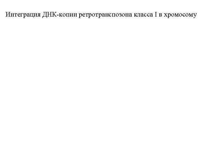 Интеграция ДНК-копии ретротранспозона класса I в хромосому 