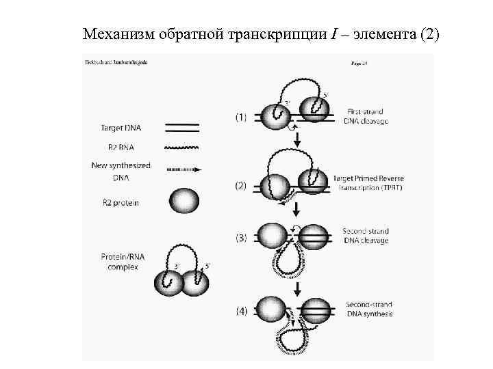 Схема обратной