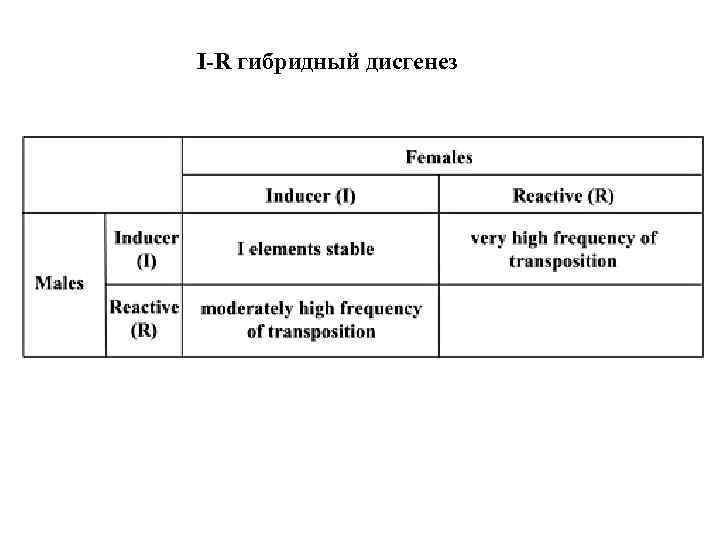 I-R гибридный дисгенез 