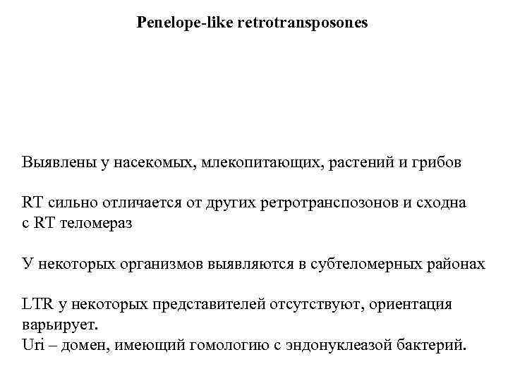 Penelope-like retrotransposones Выявлены у насекомых, млекопитающих, растений и грибов RT сильно отличается от других