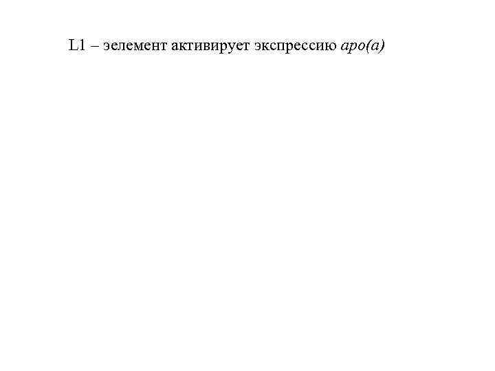 L 1 – эелемент активирует экспрессию apo(a) 