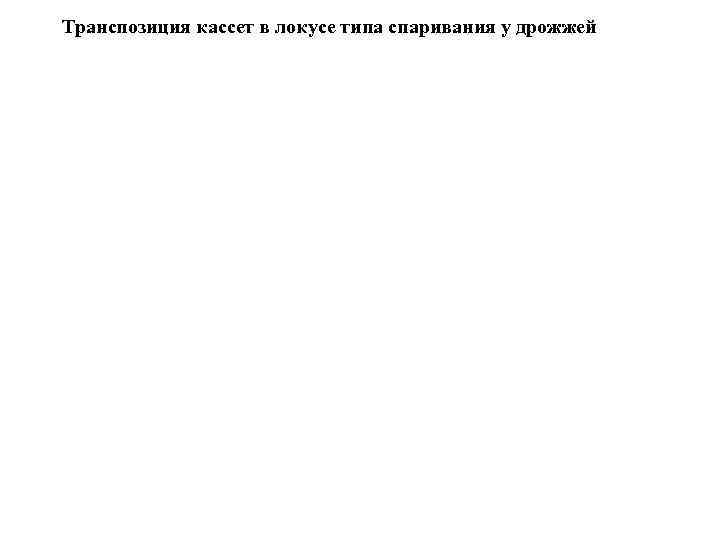 Транспозиция кассет в локусе типа спаривания у дрожжей 