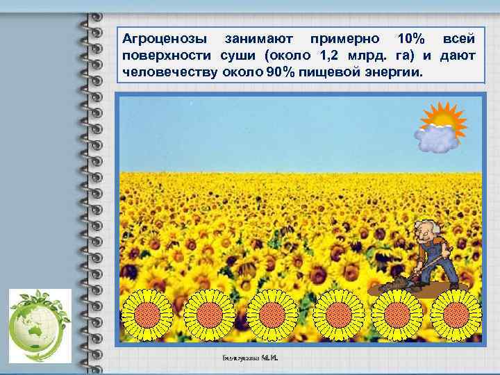 Агроценозы занимают примерно 10% всей поверхности суши (около 1, 2 млрд. га) и дают