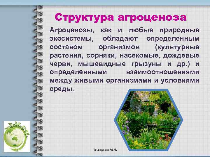 Структура агроценоза Агроценозы, как и любые природные экосистемы, обладают определенным составом организмов (культурные растения,