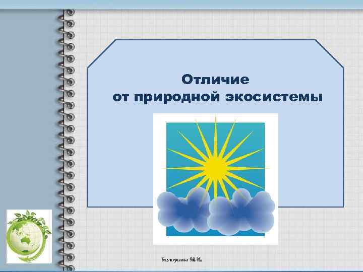 Отличие от природной экосистемы 