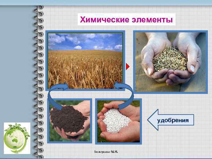 Химические элементы удобрения 