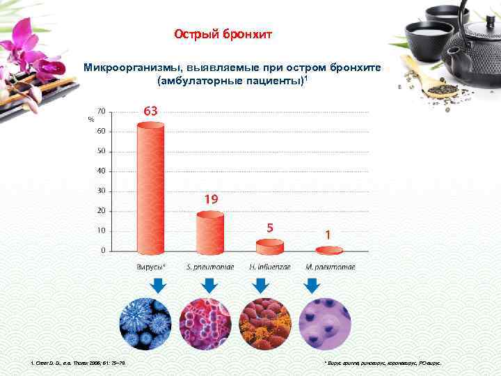 Острый бронхит Микроорганизмы, выявляемые при остром бронхите (амбулаторные пациенты)1 1. Creer D. D. ,