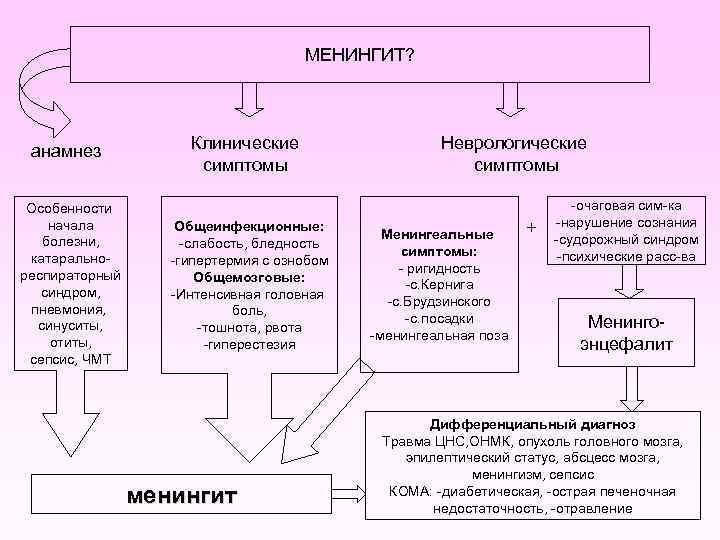 Менингококковая инфекция патогенез схема