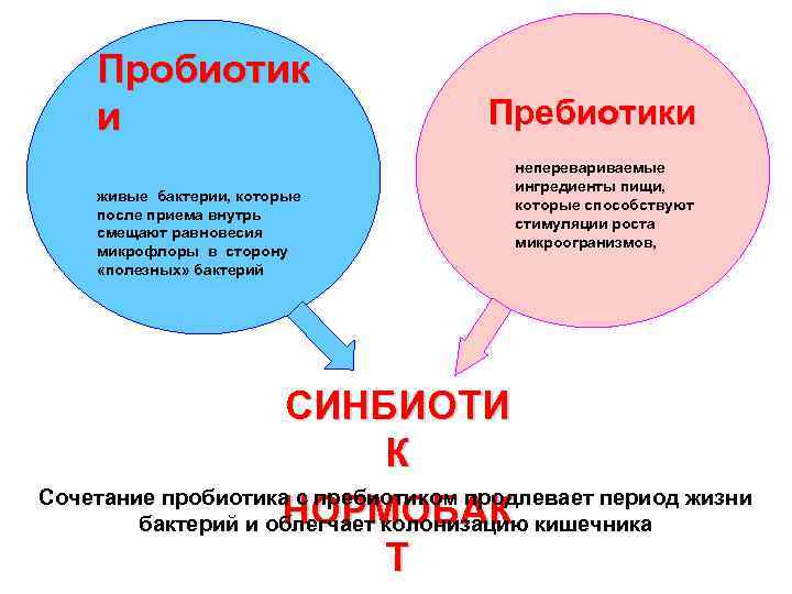 Пробиотик и живые бактерии, которые после приема внутрь смещают равновесия микрофлоры в сторону «полезных»