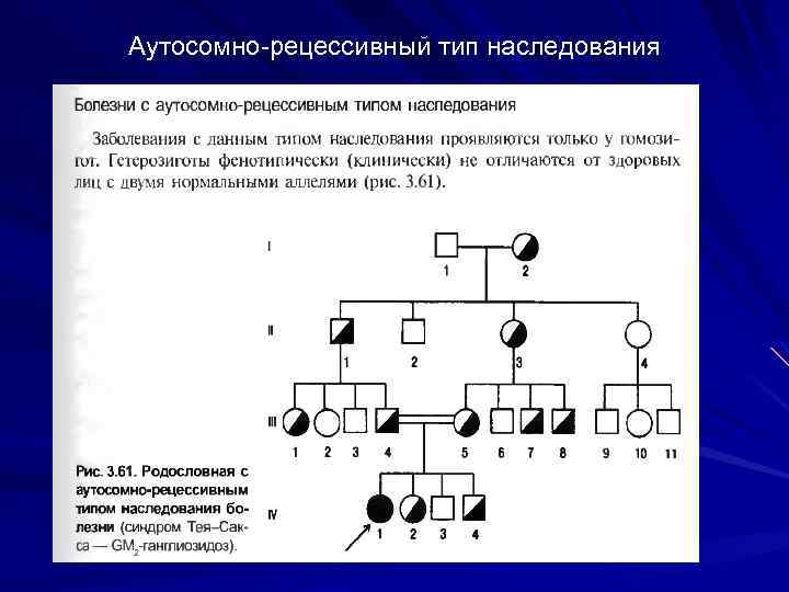 Аутосомно-рецессивный тип наследования 