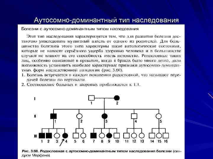 Аутосомно-доминантный тип наследования 