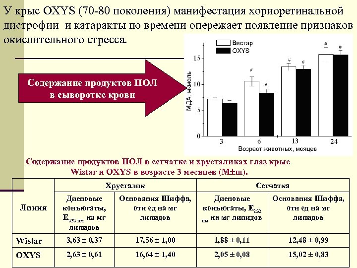 У крыс OXYS (70 -80 поколения) манифестация хориоретинальной дистрофии и катаракты по времени опережает