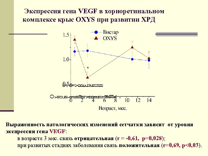 Экспрессия гена VEGF в хориоретинальном комплексе крыс OXYS при развитии ХРД Выраженность патологических изменений
