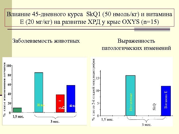 Влияние 45 -дневного курса Sk. Q 1 (50 нмоль/кг) и витамина Е (20 мг/кг)