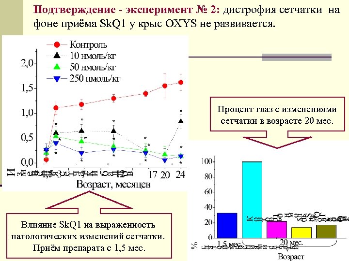 Подтверждение - эксперимент № 2: дистрофия сетчатки на фоне приёма Sk. Q 1 у