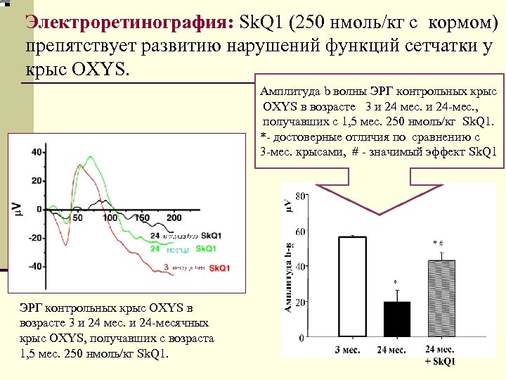 Электроретинография: Sk. Q 1 (250 нмоль/кг с кормом) препятствует развитию нарушений функций сетчатки у
