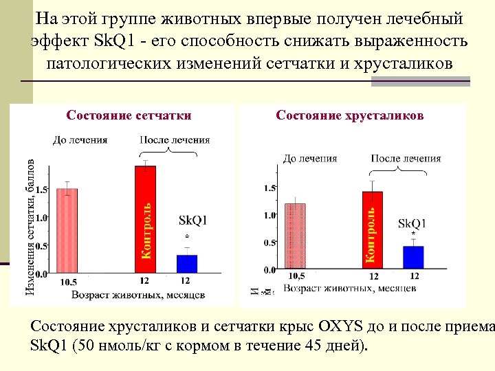 На этой группе животных впервые получен лечебный эффект Sk. Q 1 - его способность