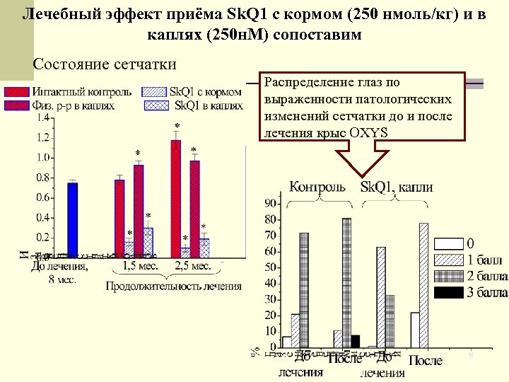 Лечебный эффект приёма Sk. Q 1 с кормом (250 нмоль/кг) и в каплях (250