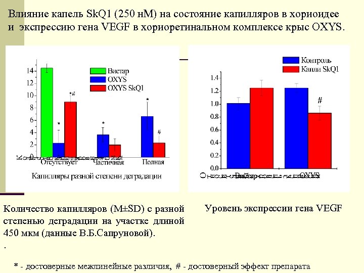Влияние капель Sk. Q 1 (250 н. М) на состояние капилляров в хориоидее и