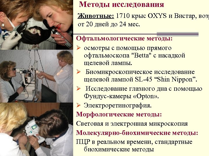 Методы исследования Животные: 1710 крыс OXYS и Вистар, возр от 20 дней до 24