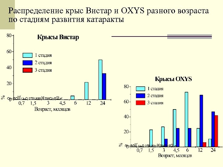 Распределение крыс Вистар и OXYS разного возраста по стадиям развития катаракты 