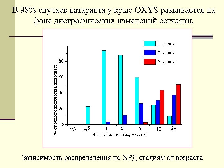 В 98% случаев катаракта у крыс OXYS развивается на фоне дистрофических изменений сетчатки. 1