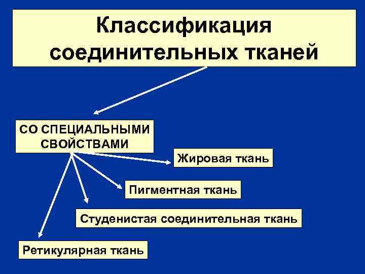 Классификация соединительных тканей СО СПЕЦИАЛЬНЫМИ СВОЙСТВАМИ Жировая ткань Пигментная ткань Студенистая соединительная ткань Ретикулярная