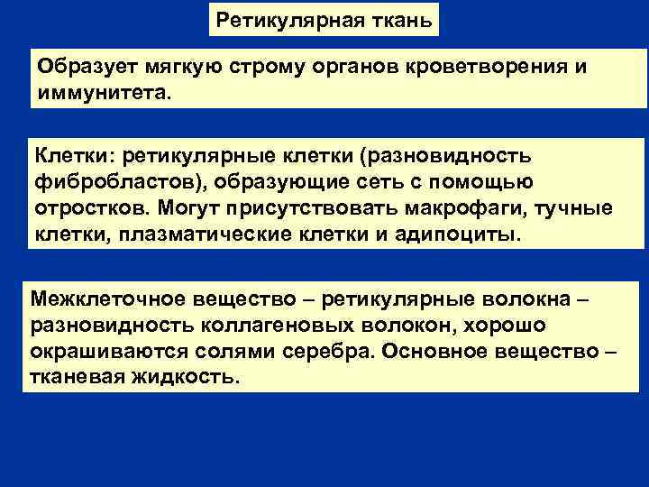 Ретикулярная ткань Образует мягкую строму органов кроветворения и иммунитета. Клетки: ретикулярные клетки (разновидность фибробластов),