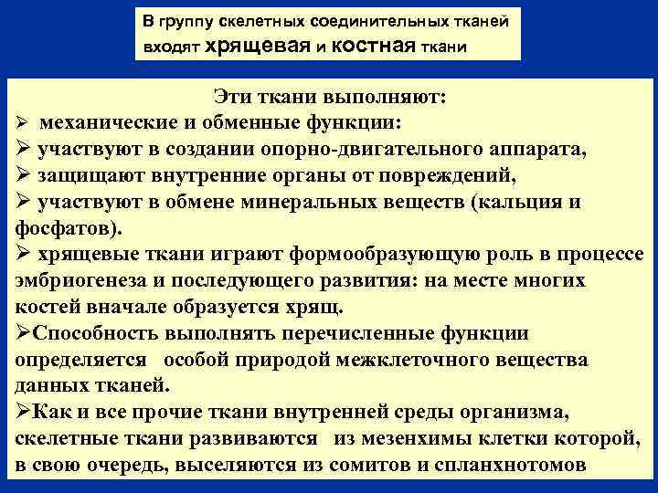 В группу скелетных соединительных тканей входят хрящевая и костная ткани Эти ткани выполняют: Ø