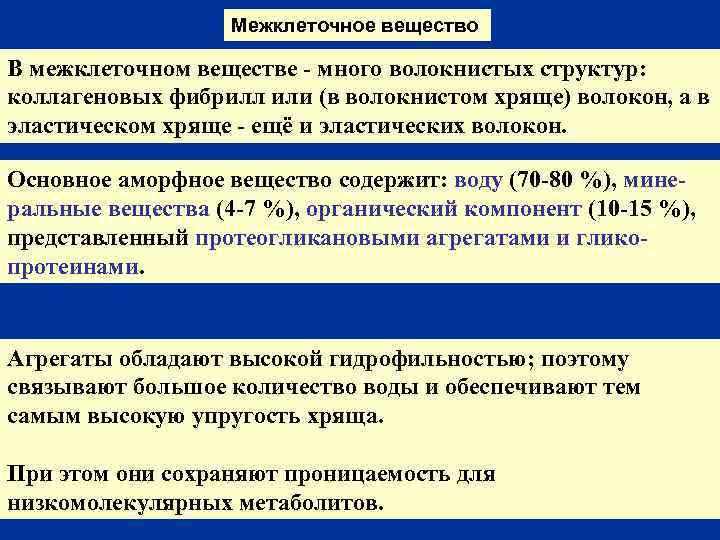 Межклеточное вещество В межклеточном веществе - много волокнистых структур: коллагеновых фибрилл или (в волокнистом